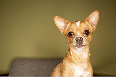 三款RTX40 SUPER显卡发布：4080SUPER售价8099元起